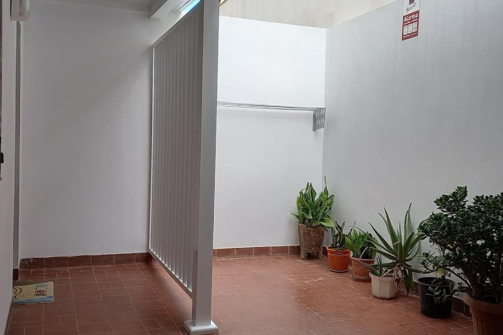 Amplio Apartamento Con Vistas Privilegiadas Garachico  Exterior foto
